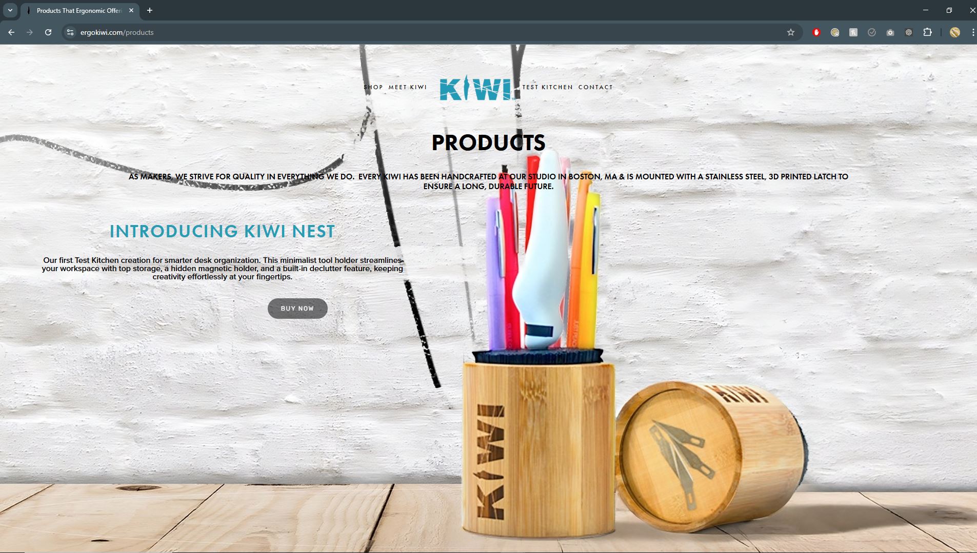 Ergokiwi: Website archive