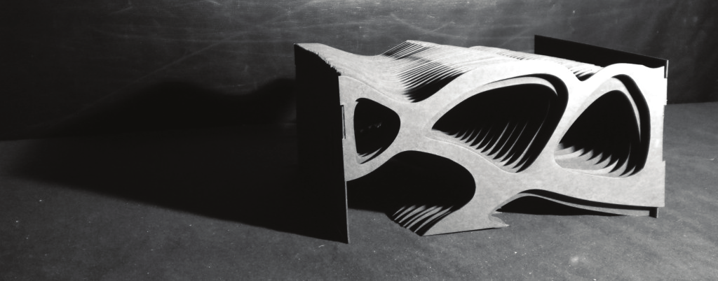 Digital Fabrication Studies: Contouring final model